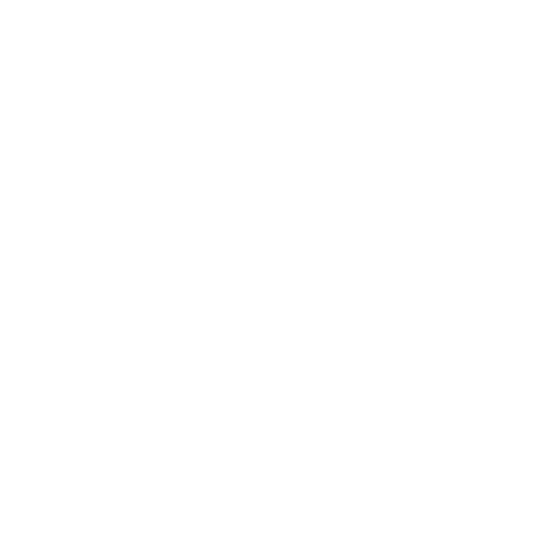 Maxfliz