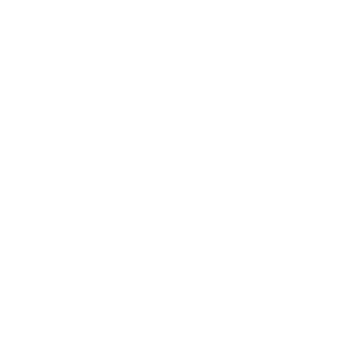 Dion