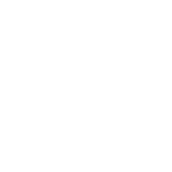 Parkiety z Całego Świata