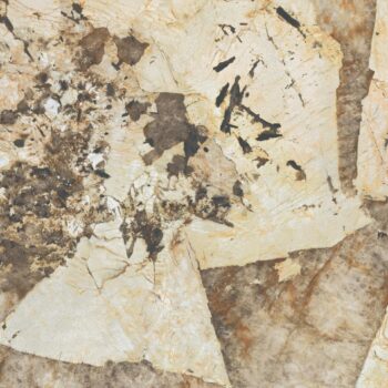 Płytka ceramiczna Desert Soul lap. 120 x 278 cm od Atlas Concorde