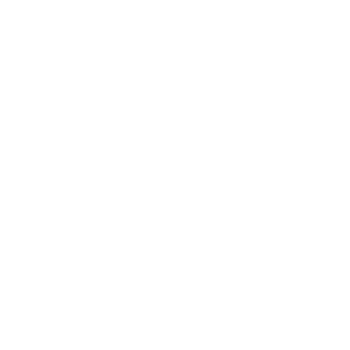 Dudek Group