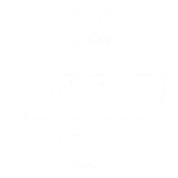 Kawiarnia foREST